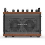 MusicCube Tiny Box D2 Oak Brown