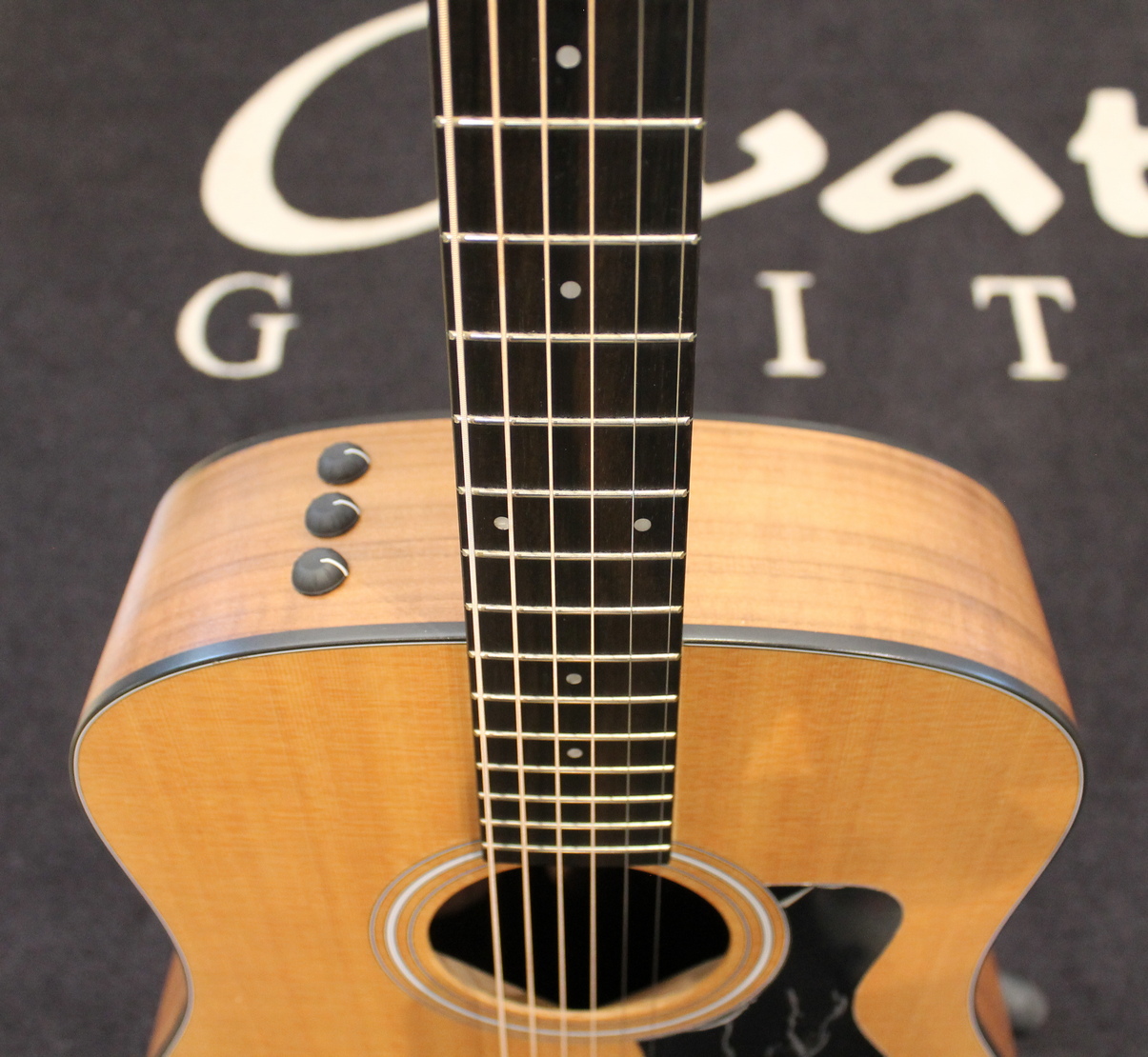 Taylor 110e USATO cod. 36326 - immagine 5