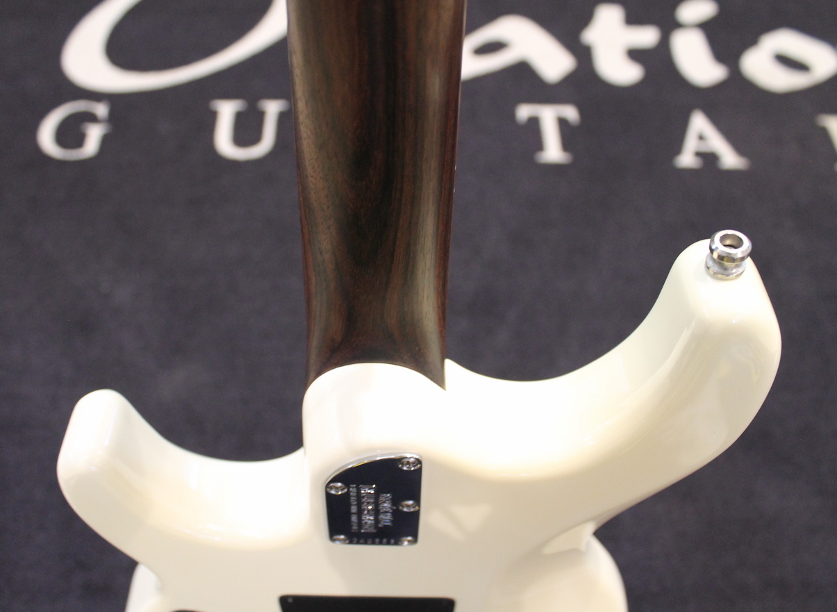 Music Man Luke BFR USATO - immagine 12