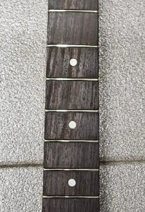 Schecter SGR Manico Chitarra Black Ex Demo