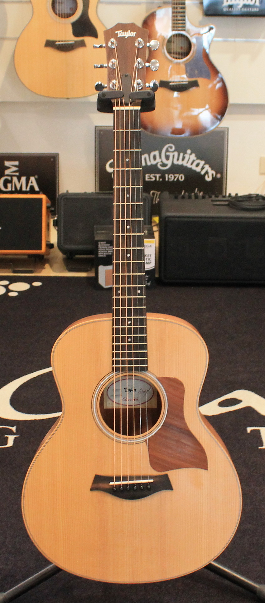 Taylor GS-Mini Sapele USATO cod. 55226