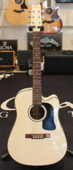 Washburn D12 CE WH USATO cod. 54226