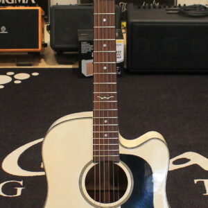 Washburn D12 CE WH USATO cod. 54226