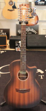 D'Angelico 12 DAPLSG212AGDCP USATO cod. 58126