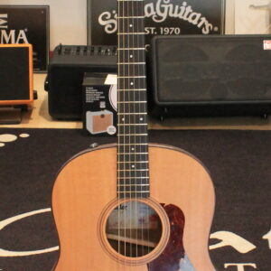 Taylor AD17e USATO