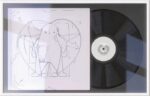 Glorious Record display frame white